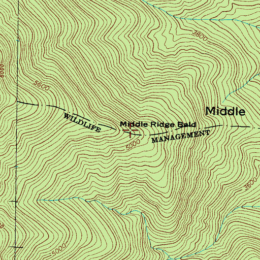 Topographic Map of Middle Ridge Bald, NC