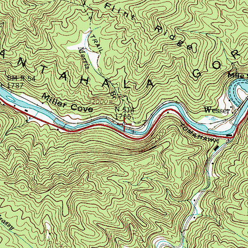 Topographic Map of Miller Cove, NC