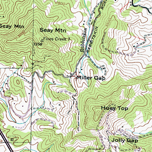 Topographic Map of Miller Gap, NC