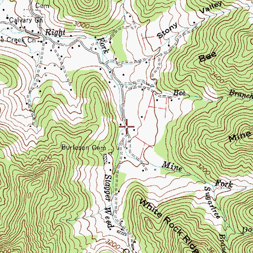 Topographic Map of Mine Fork Branch, NC