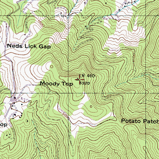Topographic Map of Moody Top, NC