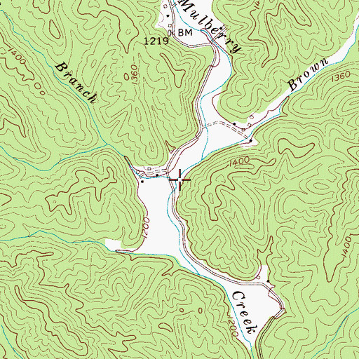 Topographic Map of Moore Branch, NC