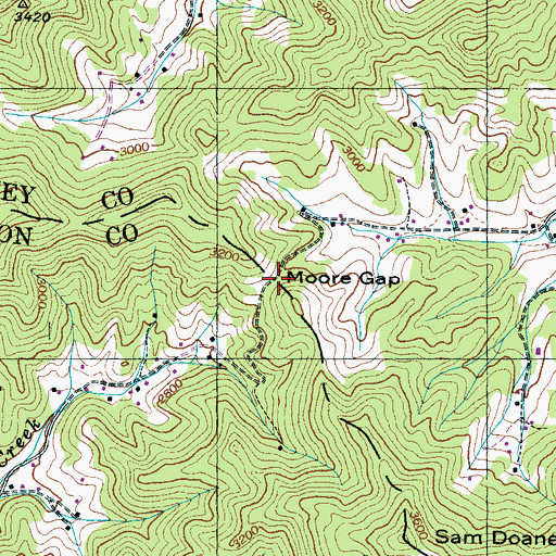 Topographic Map of Moore Gap, NC