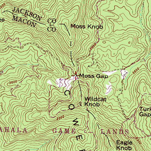 Topographic Map of Moss Gap, NC
