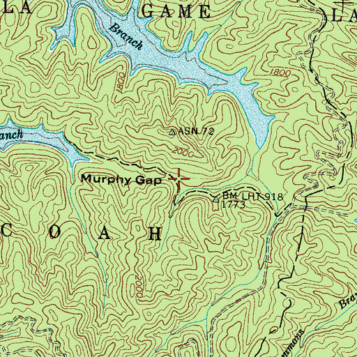 Topographic Map of Murphy Gap, NC