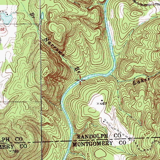 Topographic Map of Narrows Branch, NC