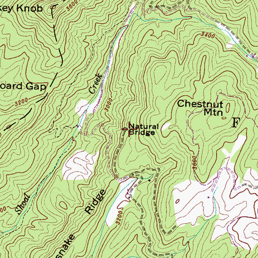 Topographic Map of Natural Bridge, NC