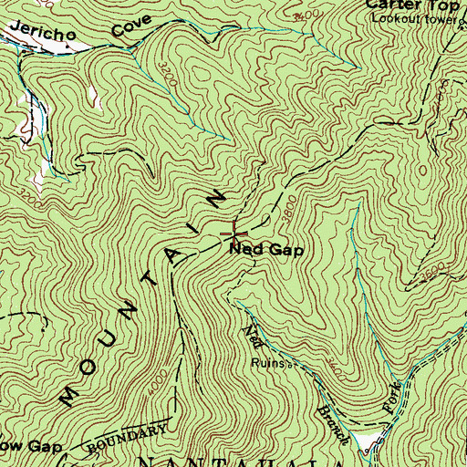 Topographic Map of Ned Gap, NC