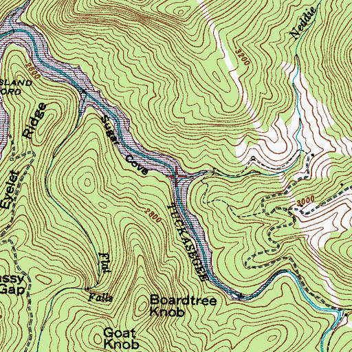 Topographic Map of Neddie Creek, NC