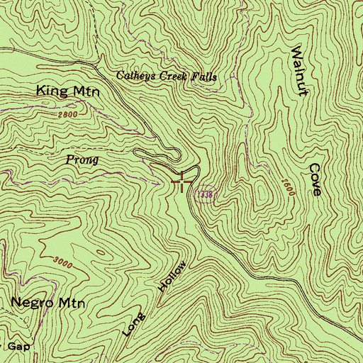 Topographic Map of Revels Prong, NC