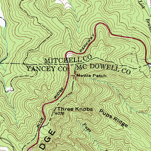Topographic Map of Nettie Patch, NC
