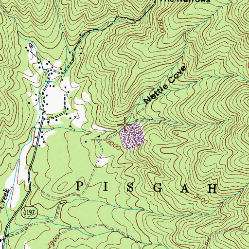 Topographic Map of Nettle Cove, NC