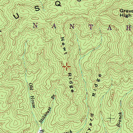 Topographic Map of Newt Ridge, NC