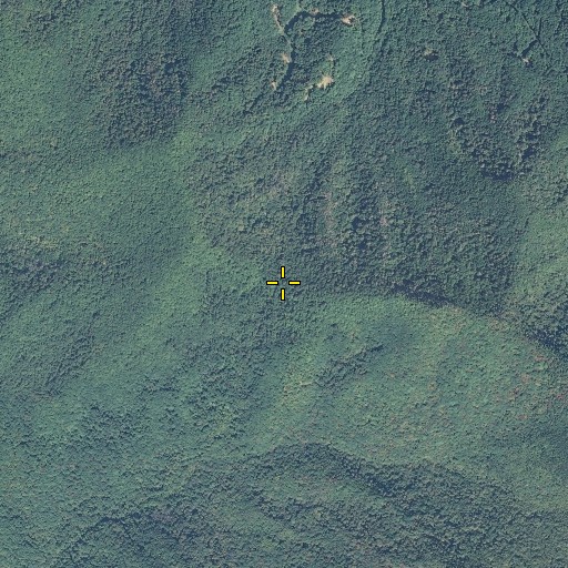 Aerial/Satellite Image of Ogle Gap, NC