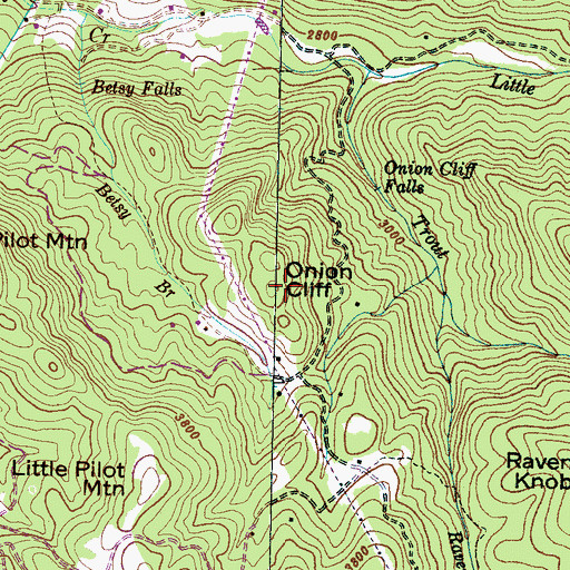 Topographic Map of Onion Cliff, NC