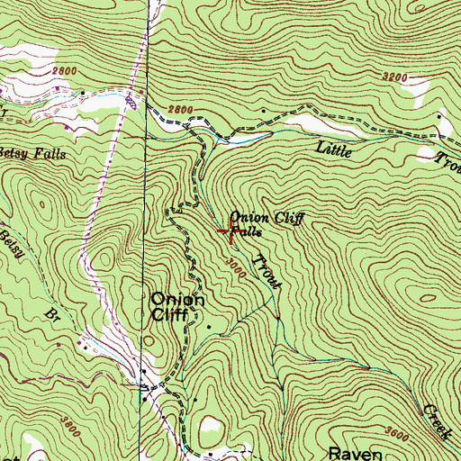 Topographic Map of Onion Cliff Falls, NC