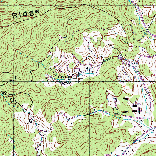 Topographic Map of Oxear Cove, NC