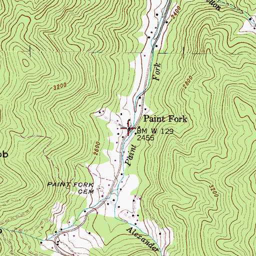 Topographic Map of Paint Fork, NC