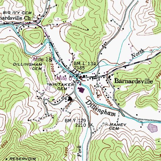 Topographic Map of Paint Fork, NC