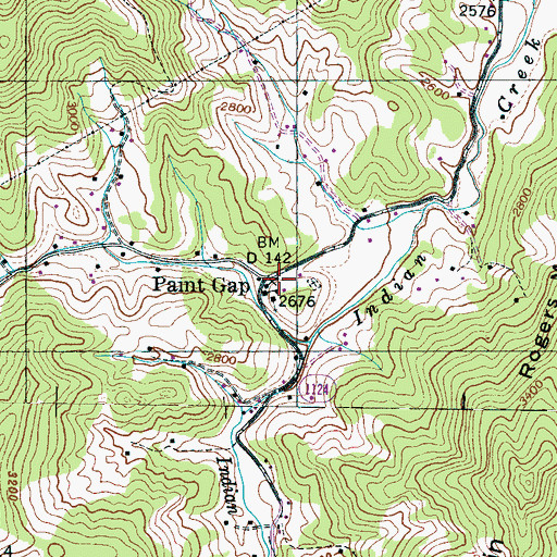 Topographic Map of Paint Gap, NC