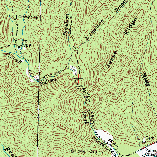 Topographic Map of Palmer Creek Trail, NC