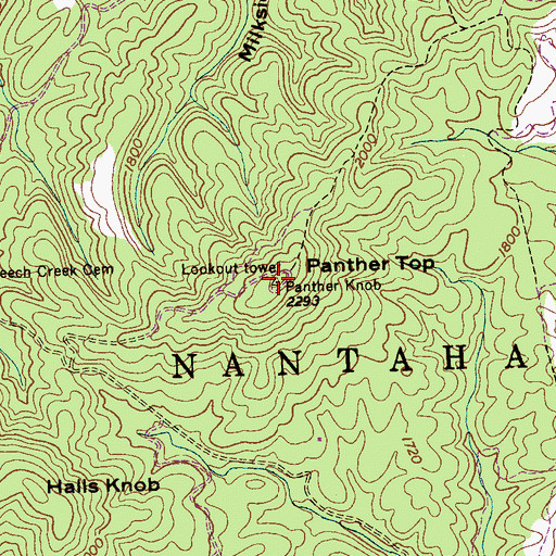 Topographic Map of Panther Top, NC