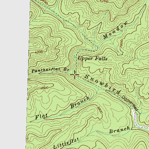 Topographic Map of Pantherflat Branch, NC