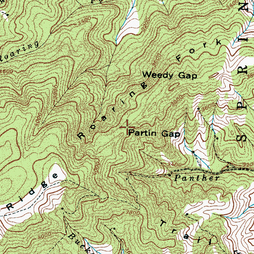 Topographic Map of Partin Gap, NC