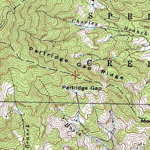 Topographic Map of Partridge Gap Ridge, NC