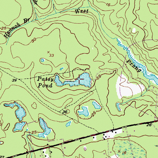Topographic Map of Patsy Pond, NC