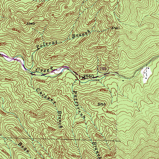 Topographic Map of Patterson Branch, NC