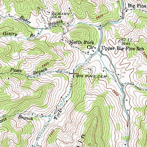 Topographic Map of Peace Branch, NC