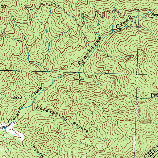 Topographic Map of Peachtree Creek, NC