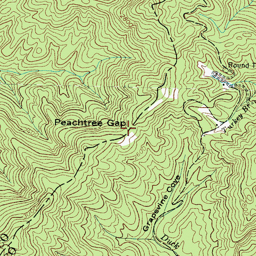 Topographic Map of Peachtree Gap, NC