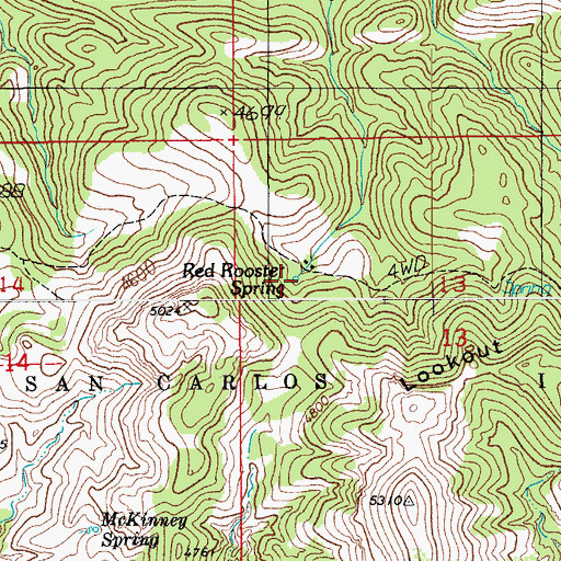 Topographic Map of Red Rooster Spring, AZ
