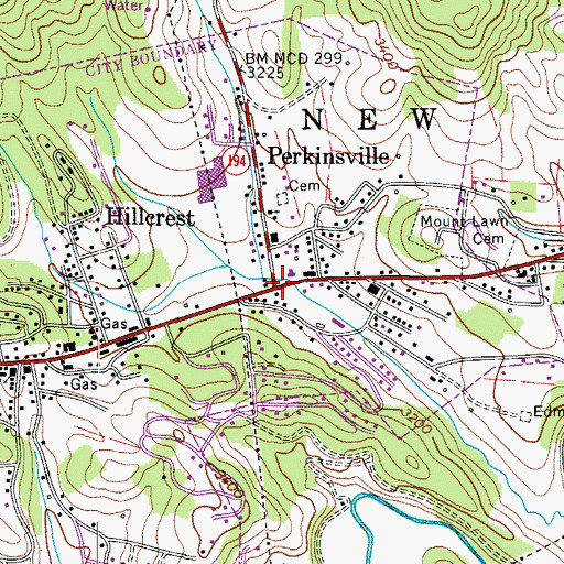 Topographic Map of Perkinsville, NC