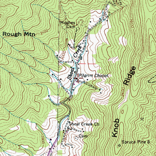 Topographic Map of Pilgrim Chapel, NC