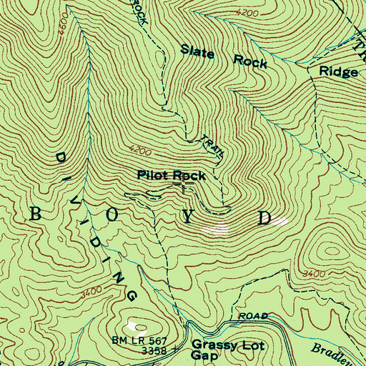 Topographic Map of Pilot Rock, NC