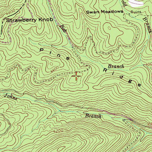 Topographic Map of Pine Ridge, NC
