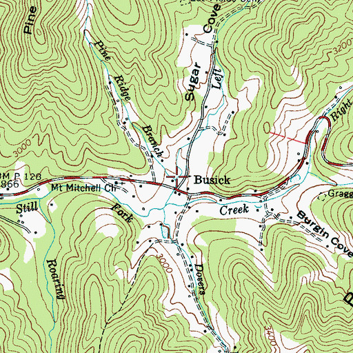 Topographic Map of Pine Ridge Branch, NC