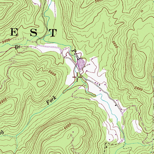 Topographic Map of Piney Knob Fork, NC