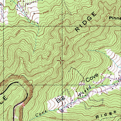 Topographic Map of Pinnacle Ridge, NC