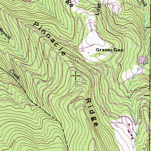 Topographic Map of Pinnacle Ridge, NC