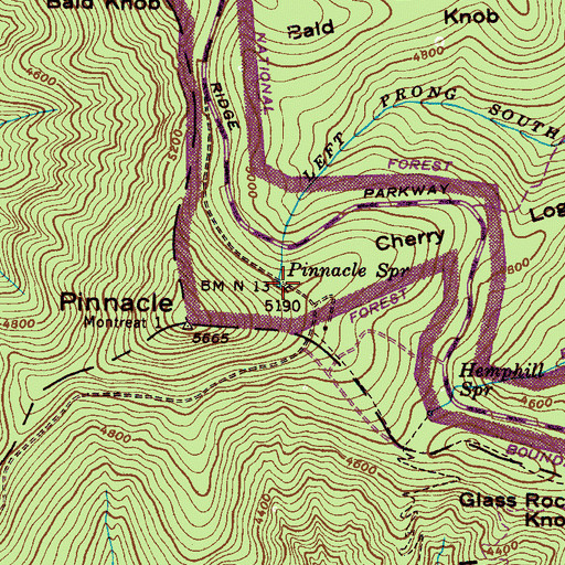 Topographic Map of Pinnacle Spring, NC