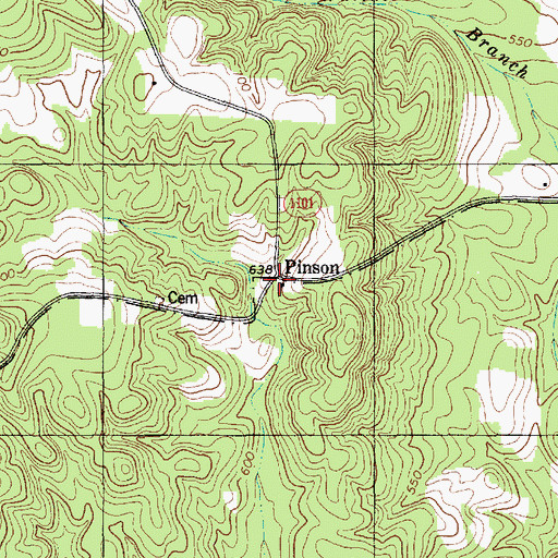 Topographic Map of Pinson, NC