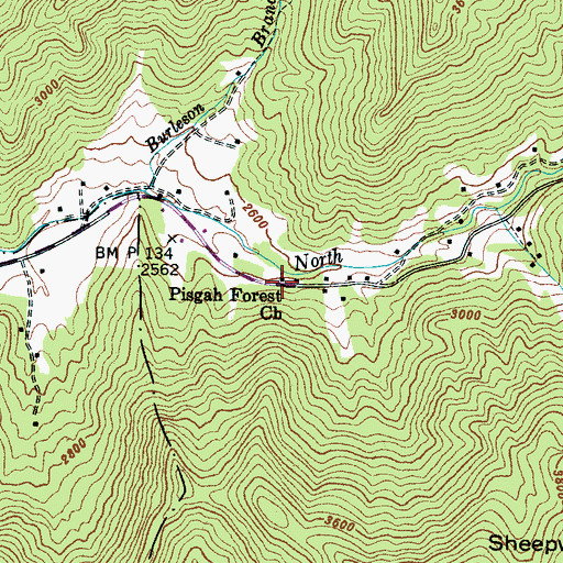 Topographic Map of Pisgah Forest Church, NC