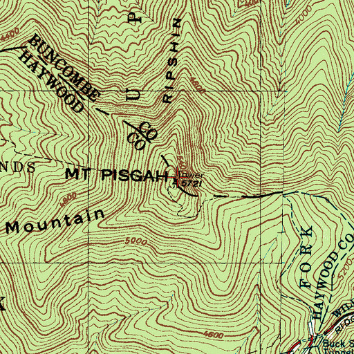 Topographic Map of Mount Pisgah, NC