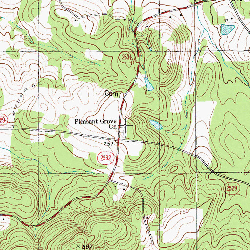 Topographic Map of Pleasant Grove Church, NC