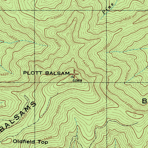 Topographic Map of Plott Balsam, NC