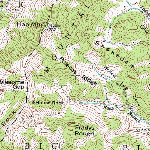 Topographic Map of Polecat Ridge, NC